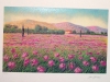 mario-soave-fioritura-in-rosa-serigrafia-cm-50-x-35-150-esemplari-2-disponibili