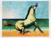 cavallo-litografia-cm-76-x-54